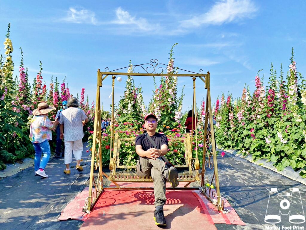 2023員林蜀葵花季｜跟著蜀葵花海吃爆員林一日遊～｜交通方式與停車資訊