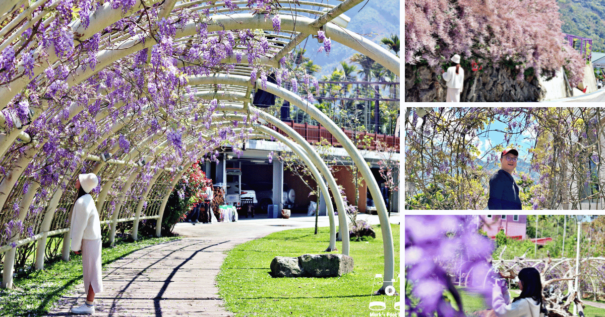 嘉義瑞里二日遊chiayi-ruili-scenic-spot-wisteria-flower-two-day-tour馬克的足跡marksfootprint