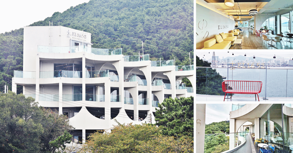 EL16.52海景咖啡廳|坐落在松島海岸邊的波浪造型咖啡廳,榮獲許多建築獎項 EL16.52海景咖啡廳馬克的足跡marksfootprint