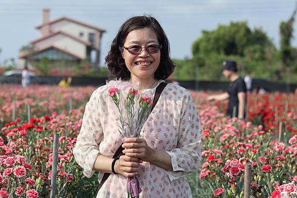 田尾康乃馨花田母親節限定3.jpg