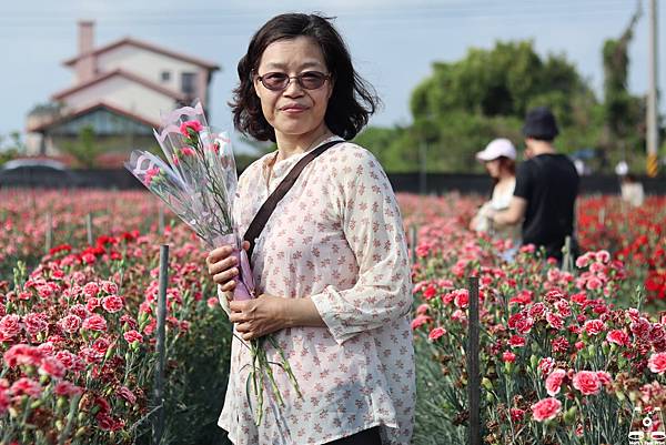 田尾康乃馨花田母親節限定2.jpg